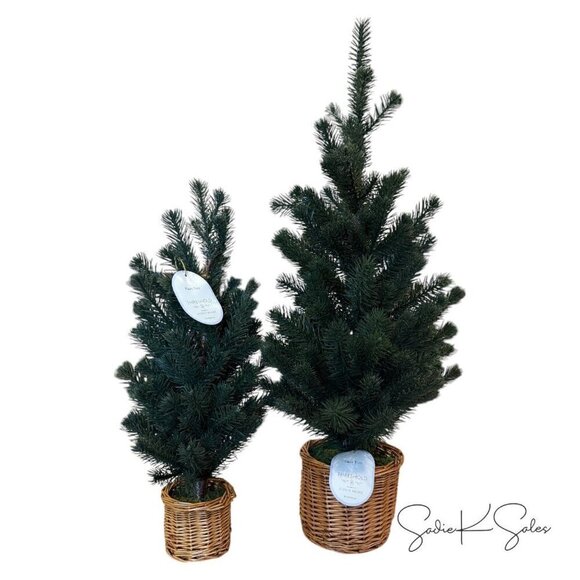 Threshold Studio McGee Medium Pine Artificial Tree in Basket - Christmas 2024 - Picture 8 of 8